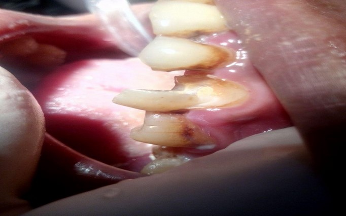 دکتر سید محمود نعیمیان | دکتربین